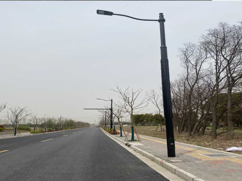 路桥区上海综合杆 太阳能路灯工程